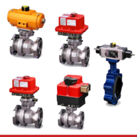 ACTUATED-VALVE-PACKAGES